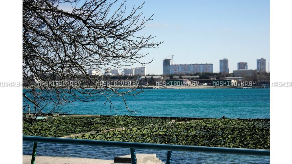 Маскировочная сеть Стандарт МКТ-2Л 3х6 м Лес картинка 56