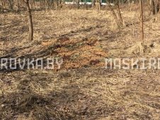 maskirovochnaya-set-kamuflyazhnaya-2x3-soloma_foto